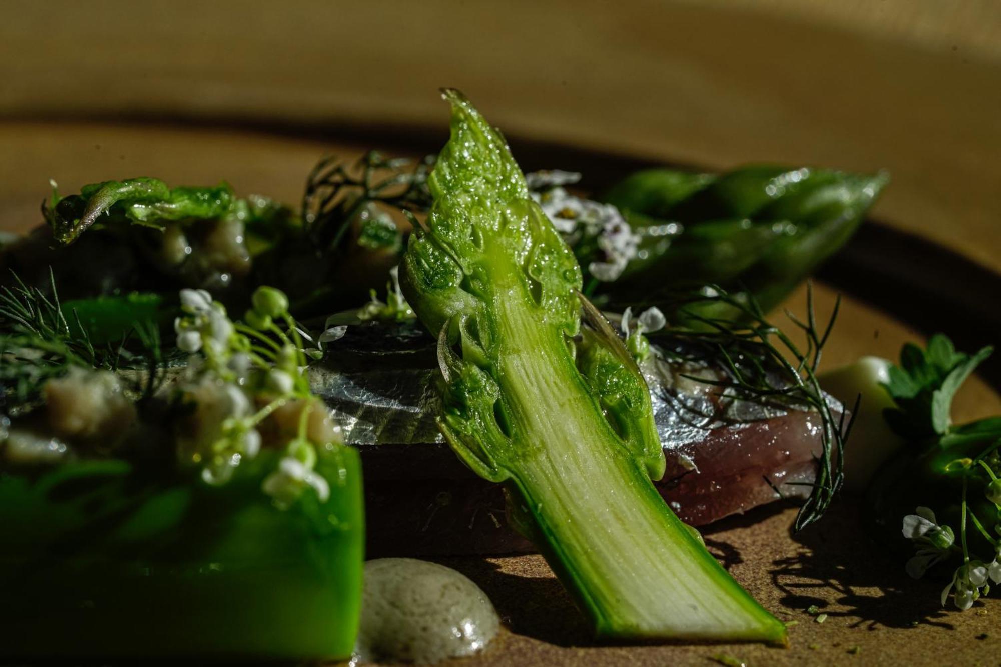 Thalazur Bandol Ile Rousse - Hotel & Spa Ngoại thất bức ảnh